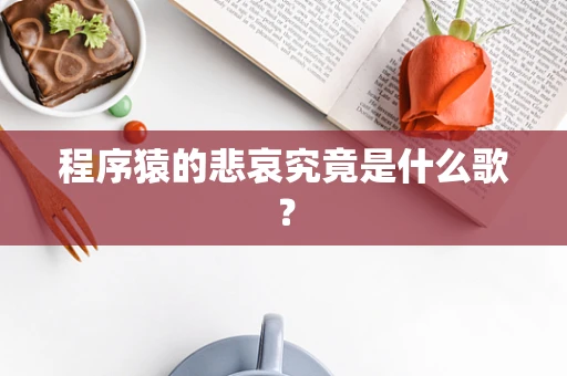 程序猿的悲哀究竟是什么歌？