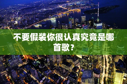 不要假装你很认真究竟是哪首歌？