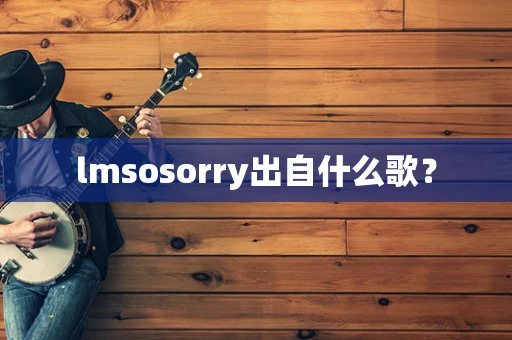 lmsosorry出自什么歌？