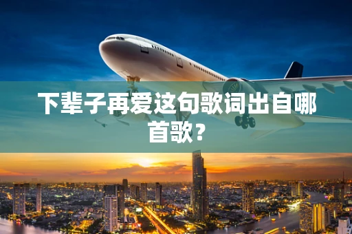 下辈子再爱这句歌词出自哪首歌？