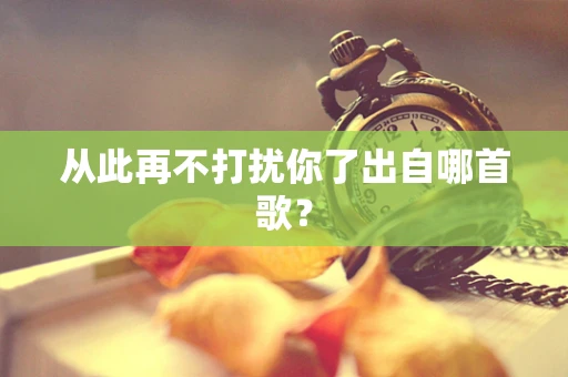 从此再不打扰你了出自哪首歌？