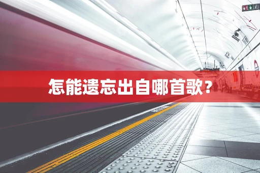 怎能遗忘出自哪首歌？