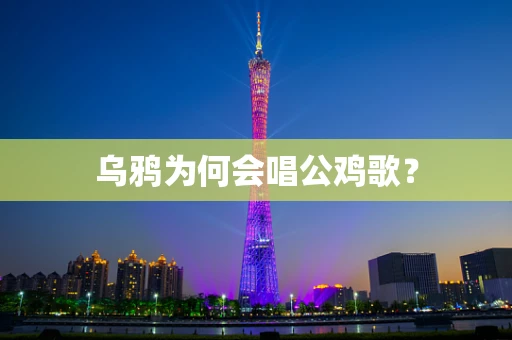 乌鸦为何会唱公鸡歌？
