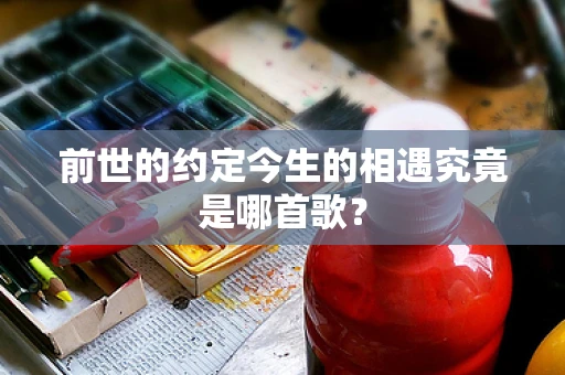 前世的约定今生的相遇究竟是哪首歌？
