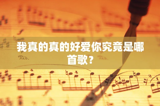 我真的真的好爱你究竟是哪首歌？