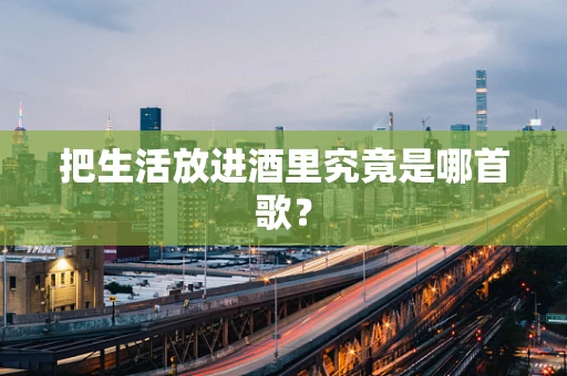 把生活放进酒里究竟是哪首歌？