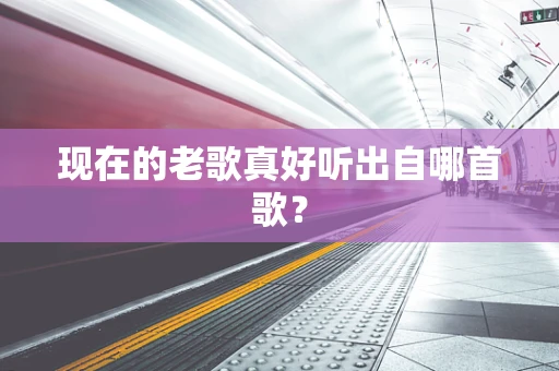 现在的老歌真好听出自哪首歌？