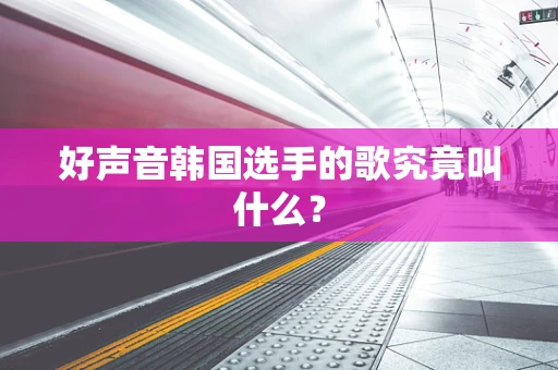 好声音韩国选手的歌究竟叫什么？