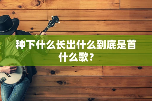 种下什么长出什么到底是首什么歌？