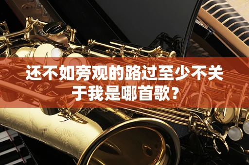 还不如旁观的路过至少不关于我是哪首歌？