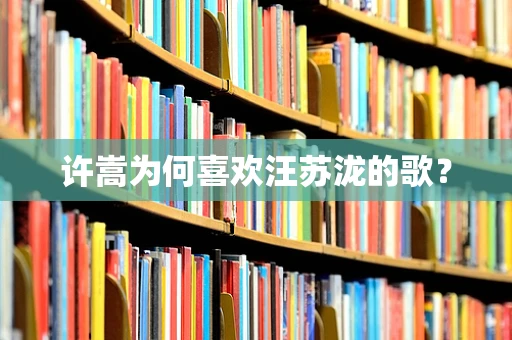 许嵩为何喜欢汪苏泷的歌？