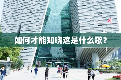 如何才能知晓这是什么歌？