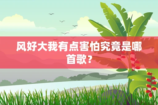 风好大我有点害怕究竟是哪首歌？
