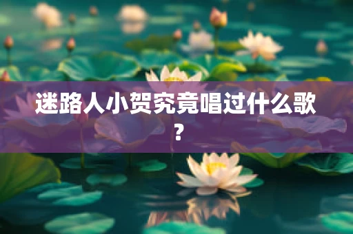 迷路人小贺究竟唱过什么歌？