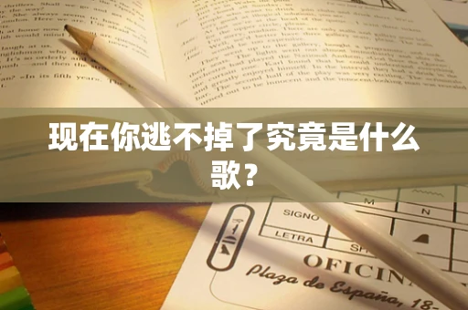 现在你逃不掉了究竟是什么歌？