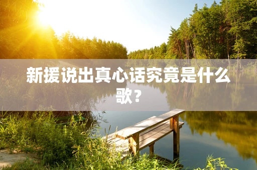 新援说出真心话究竟是什么歌？