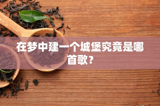在梦中建一个城堡究竟是哪首歌？