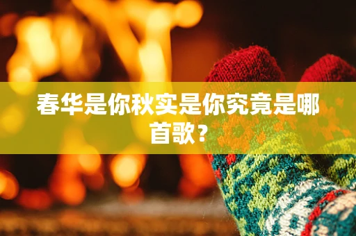 春华是你秋实是你究竟是哪首歌？