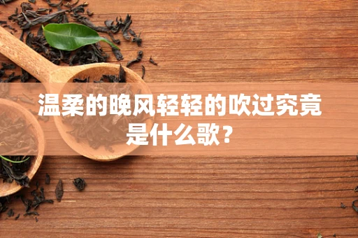温柔的晚风轻轻的吹过究竟是什么歌？
