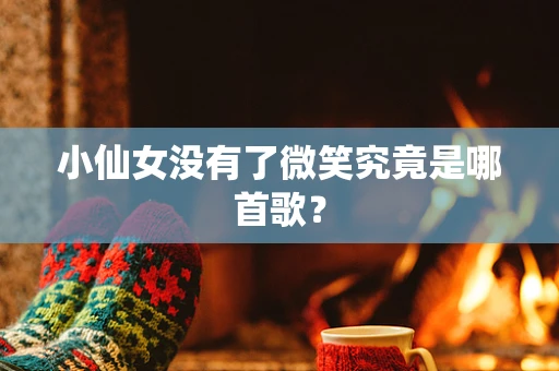 小仙女没有了微笑究竟是哪首歌？