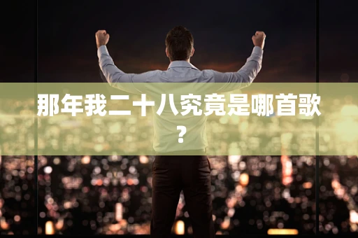 那年我二十八究竟是哪首歌？