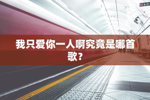 我只爱你一人啊究竟是哪首歌？
