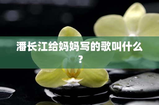 潘长江给妈妈写的歌叫什么？