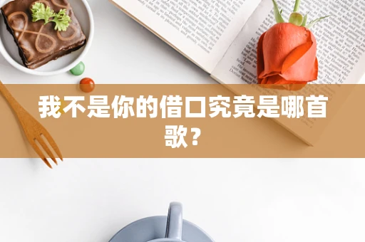 我不是你的借口究竟是哪首歌？