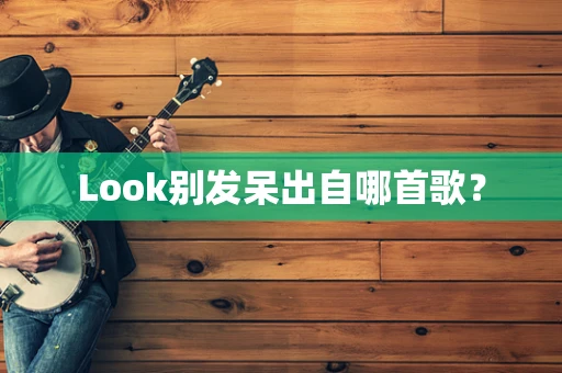 Look别发呆出自哪首歌？