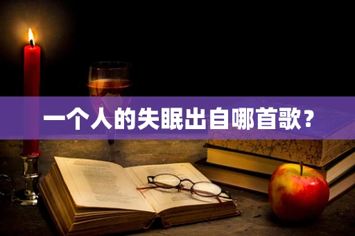 一个人的失眠出自哪首歌？