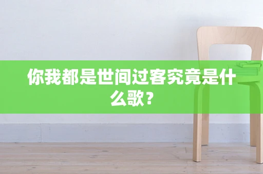 你我都是世间过客究竟是什么歌？