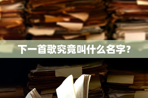 下一首歌究竟叫什么名字？