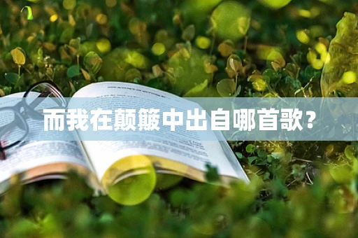 而我在颠簸中出自哪首歌？