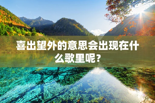 喜出望外的意思会出现在什么歌里呢？