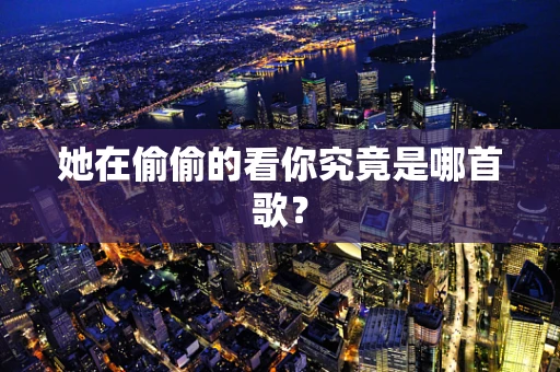 她在偷偷的看你究竟是哪首歌？