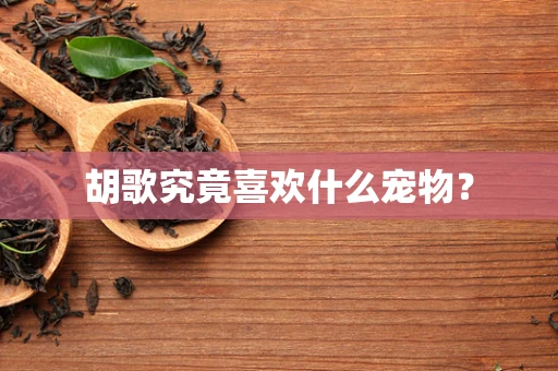 胡歌究竟喜欢什么宠物？