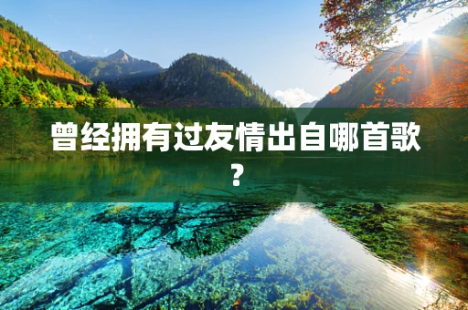 曾经拥有过友情出自哪首歌？