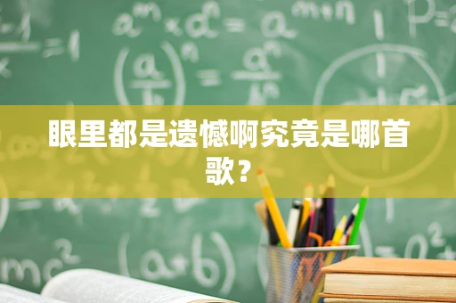 眼里都是遗憾啊究竟是哪首歌？