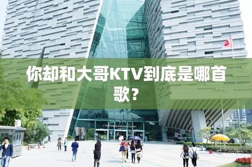 你却和大哥KTV到底是哪首歌？