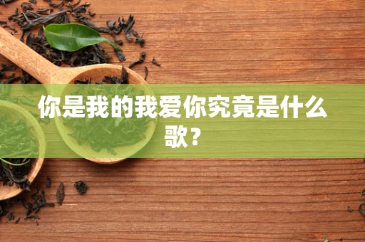 你是我的我爱你究竟是什么歌？