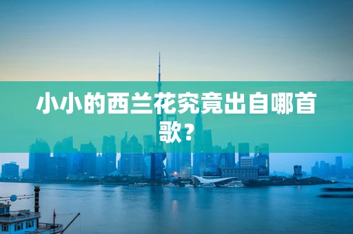 小小的西兰花究竟出自哪首歌？