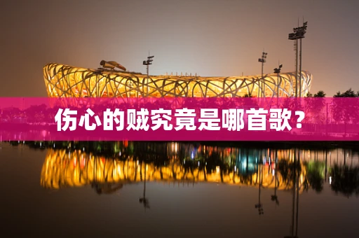 伤心的贼究竟是哪首歌？