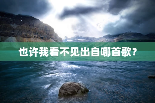 也许我看不见出自哪首歌？