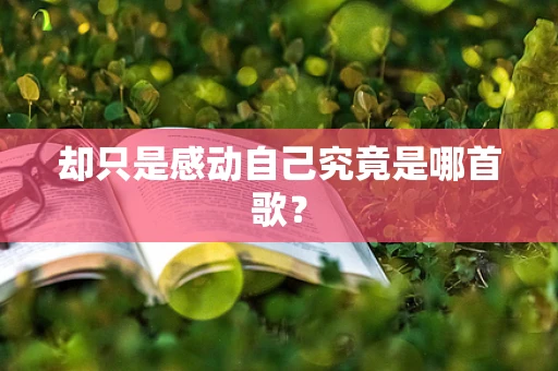 却只是感动自己究竟是哪首歌？