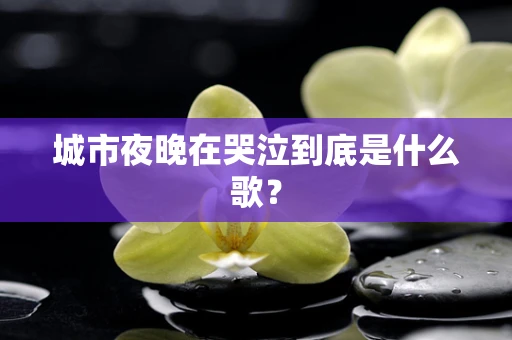 城市夜晚在哭泣到底是什么歌？