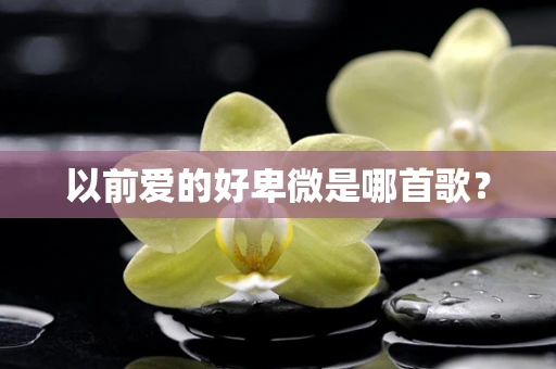 以前爱的好卑微是哪首歌？