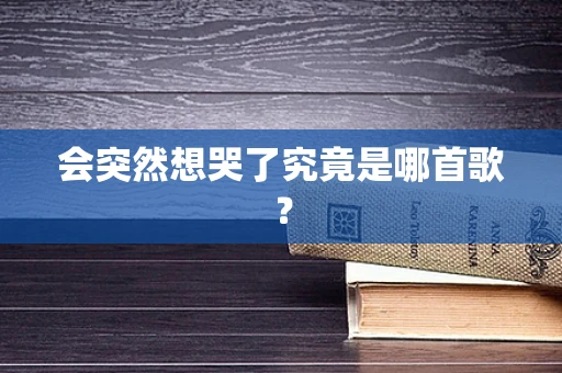会突然想哭了究竟是哪首歌？