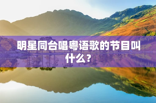 明星同台唱粤语歌的节目叫什么？