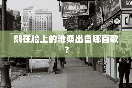 刻在脸上的沧桑出自哪首歌？