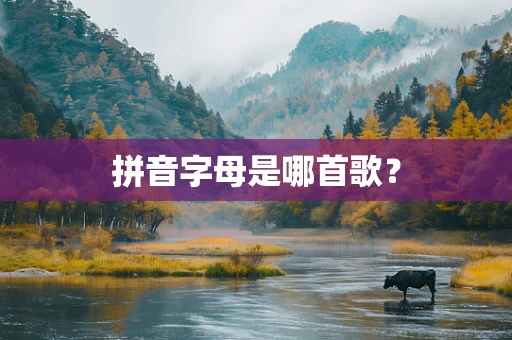 拼音字母是哪首歌？